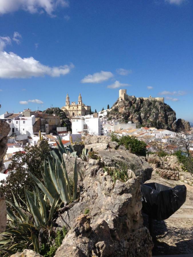No 31 Bed & Breakfast Olvera Esterno foto